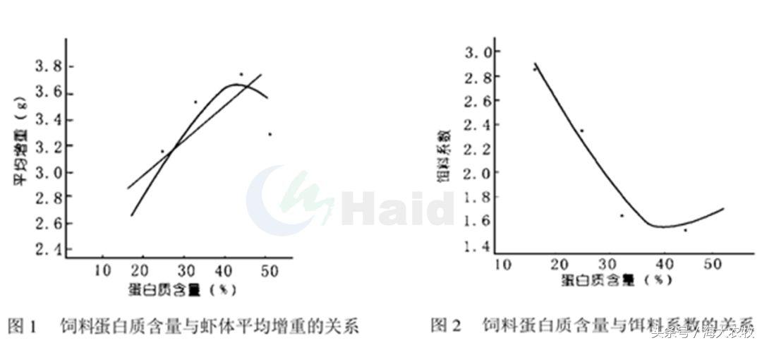 虾的养殖用什么饲料,养虾成本与利润分析表格