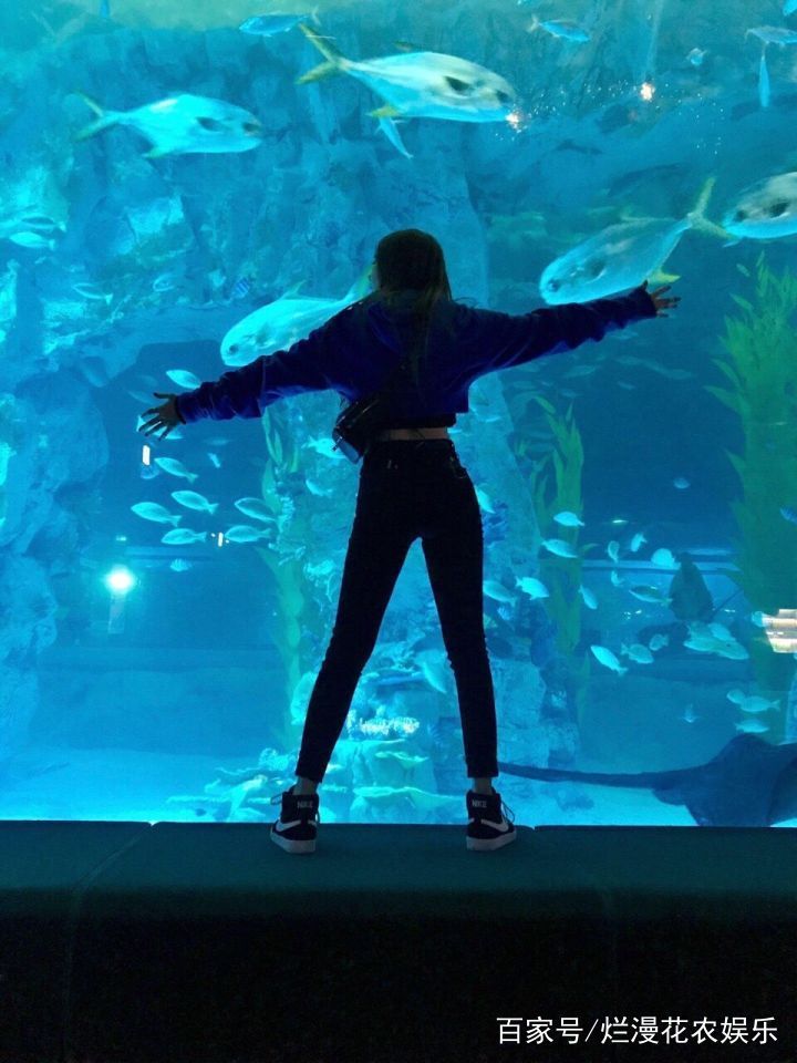 blackpink颜值混剪,blackpink属于她们的时代已落幕