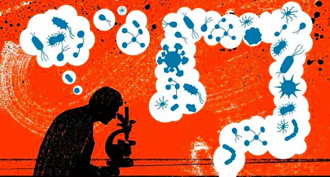 免疫治疗的肠胃反应如何处理,肠道微生物对免疫的影响