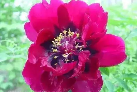 8.8发财日的祝福,8月18日发财日早安祝福图片