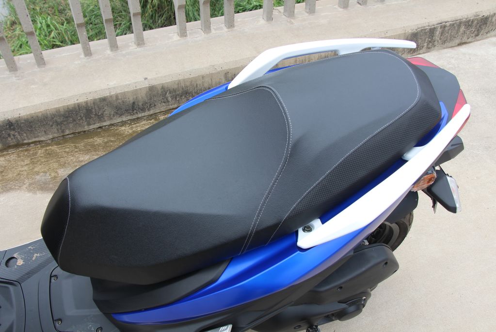 高颜值蚂蚱,漂亮巨型蚂蚱