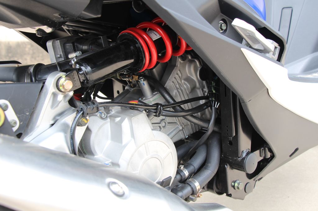 高颜值蚂蚱,漂亮巨型蚂蚱