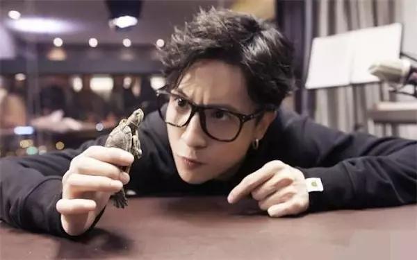 中国前十网红分别是,中国网红粉丝最多的十大网红