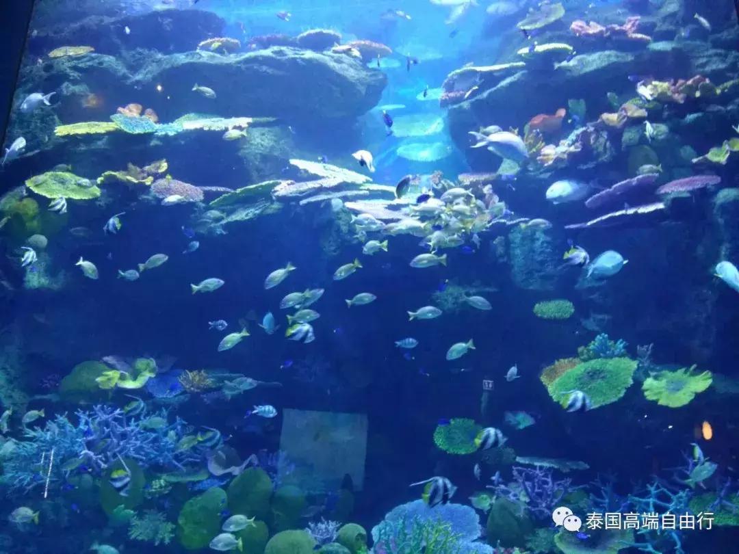 泰国曼谷芭提雅6天5晚路线,曼谷芭提雅6天5晚自由行攻略