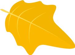 澳洲海外旅游注意事项,澳洲快捷退税攻略