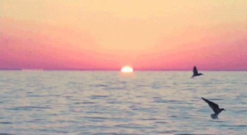 单身税是真是假,单身税到底是真的吗