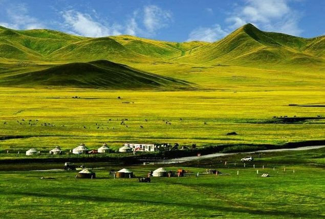 青海湖茶卡盐湖的路线,青海湖茶卡盐湖大草原
