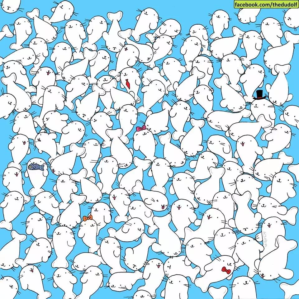 趣味测试你眼睛里有什么动物,趣味测试找熊