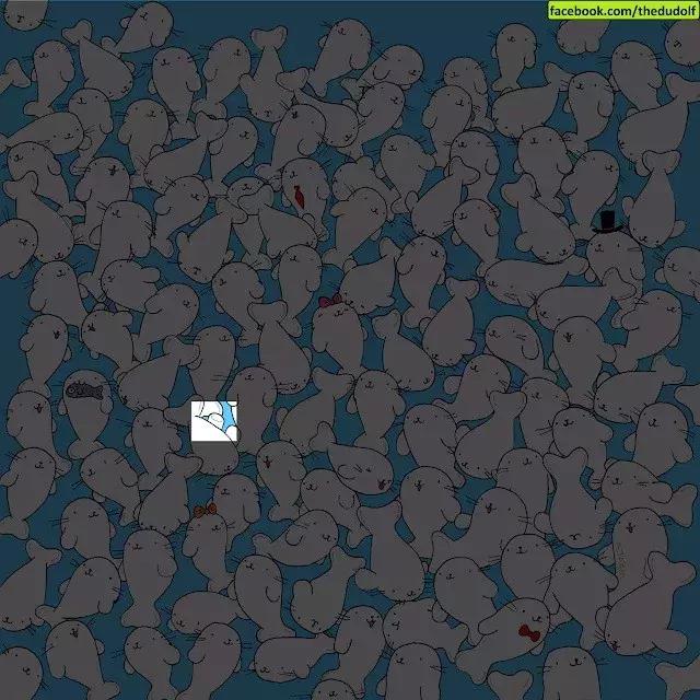 趣味测试你眼睛里有什么动物,趣味测试找熊