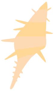 省运会开幕式最新消息,省运会开幕式观众