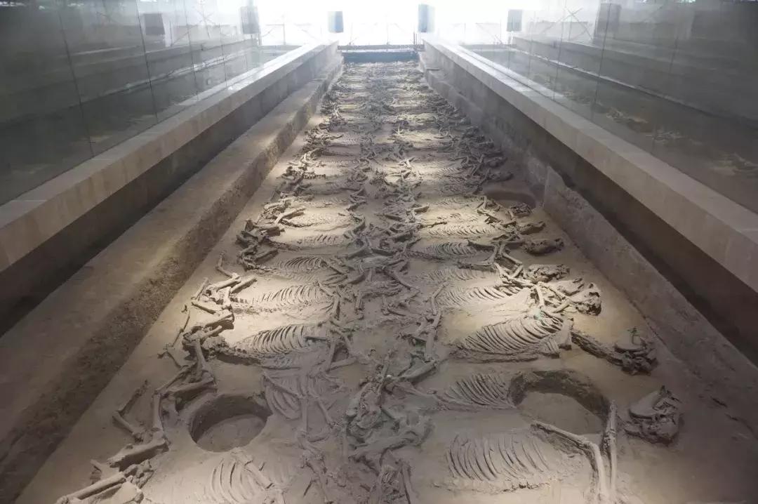 淄博齐文化发源地,淄博齐文化历史介绍