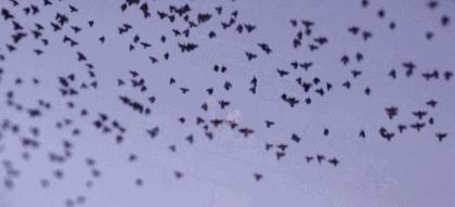 苍井优从影以来最大尺度，我的硬盘留好位置了