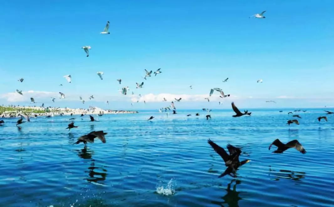 青海最大的价值是生态是谁说的,青海生态的重要性