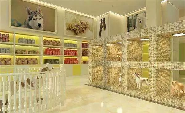 小区里开什么店最好投资小,小区店铺创业做什么生意好