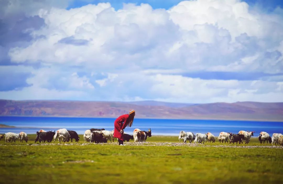 关于*藏西**旅行,你应该知道的15件事