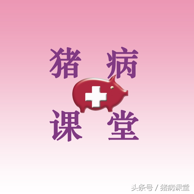 养猪人一定困扰母猪八大问题,养猪技术母猪产后无奶怎么办