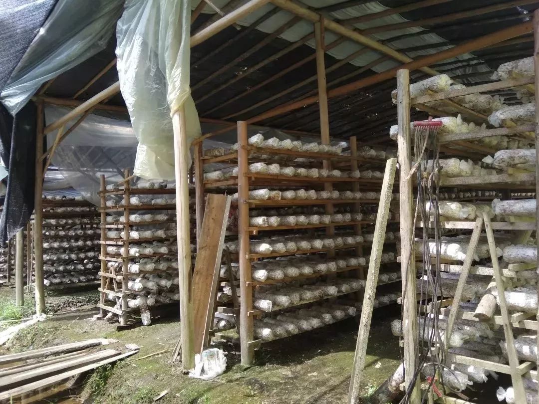 看过来！带你走一走将乐的这些返乡青年创业基地~｜新时代新作为新篇章