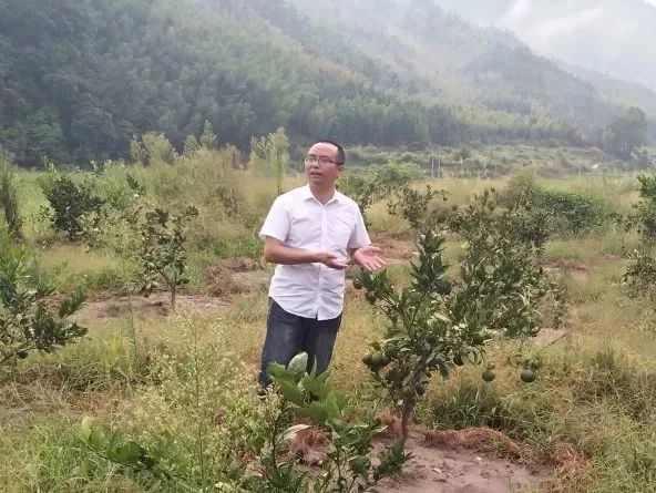 看过来！带你走一走将乐的这些返乡青年创业基地~｜新时代新作为新篇章