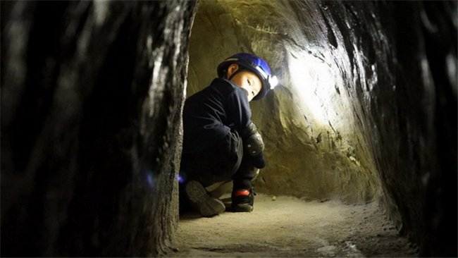 孩子心智成熟晚要怎么锻炼,孩子身心健康最重要比学习重要