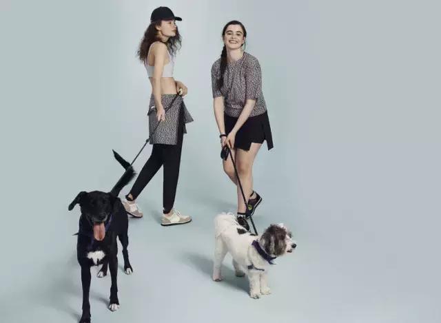 终于知道你为什么练不出腹肌了,终于知道你为什么瘦不下来