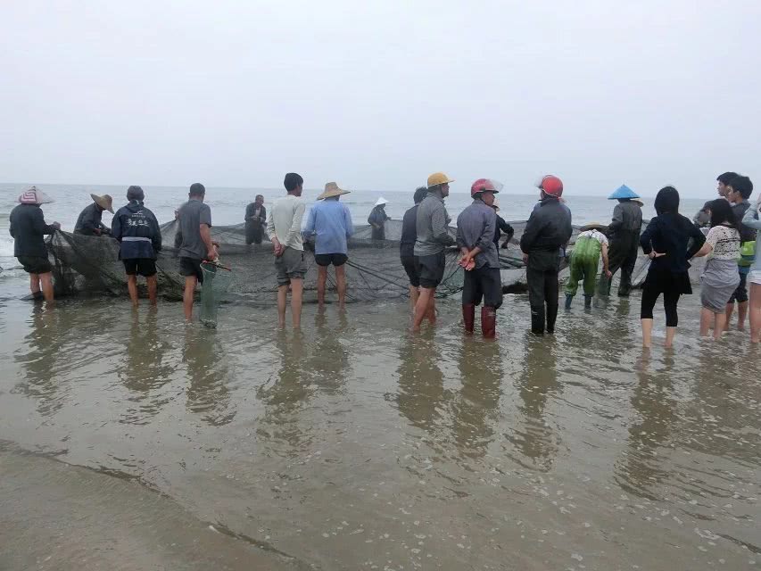 一大早10几个农名叔叔到海里去，收获满满，网友：齐心协力有鱼吃