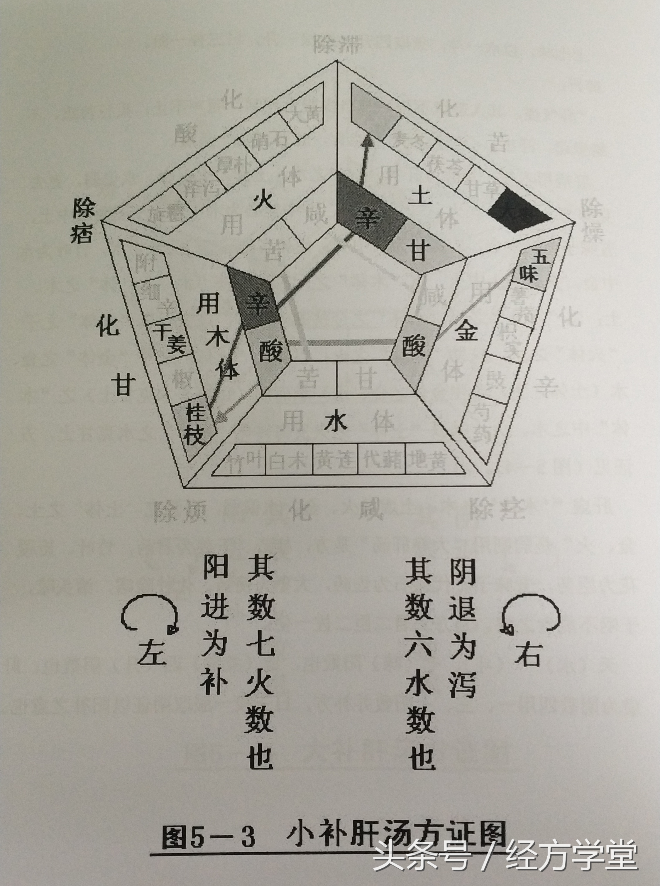 辅行诀组方结构图解,辅行诀组方用药规律图
