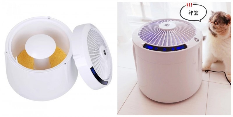 新手铲屎官如何讨好猫咪,铲屎官怎么讨猫咪喜欢