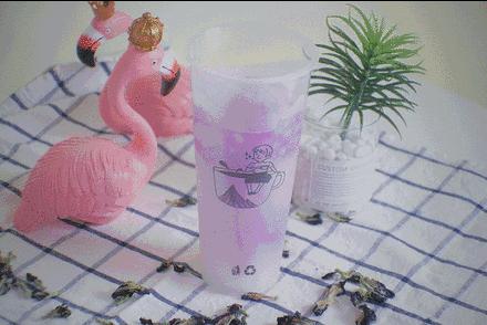 小确茶｜抓住夏天的尾巴，喝完这几杯，你的夏天才够圆满！