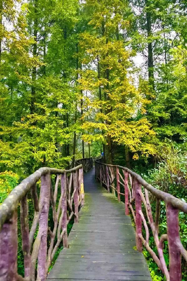 德阳周边玩水避暑民宿,德阳附近哪里有凉快又好玩的地方
