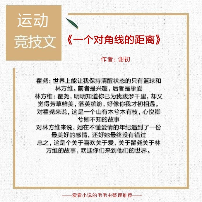 5本体育竞技小说,运动竞技文