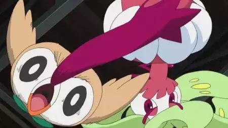 小智的木木枭最终进化了,小智的木木枭最后进化了吗