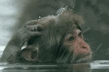 「生活微课堂」脱发人群最关心的10个问题，专家一次为你解答