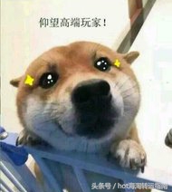 为啥用的所有粉底液都显白呢,粉底液买黑了如何让粉底液变白