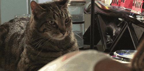 你享受过免费叫醒服务吗,你享受过免费的叫醒服务吗