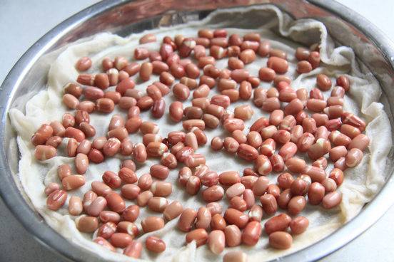 阳台种菜教程书,在家阳台种菜一年四季能种的菜