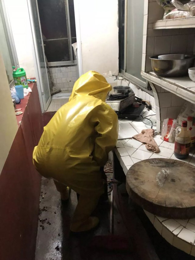 清理马蜂窝村民被蛰,打扫卫生习水