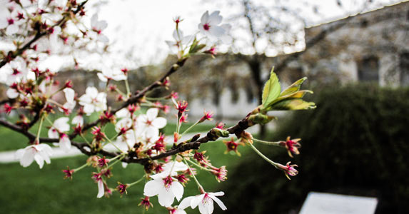 玩真心话大冒险表白如何化解尴尬,真心话大冒险输了男生向校霸表白