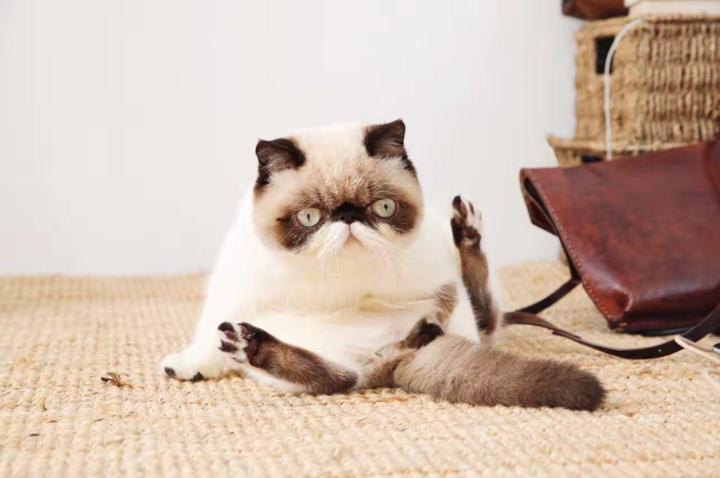 把出租屋改造到房子里,把出租屋改造成豪宅