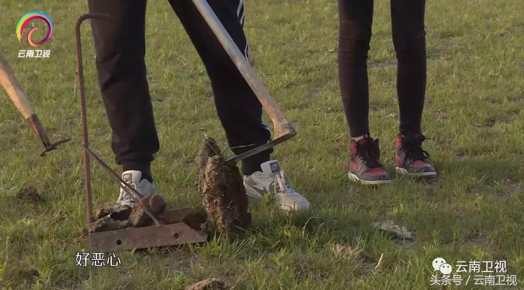 双胞胎潇洒骑马,双胞胎骑行川藏线