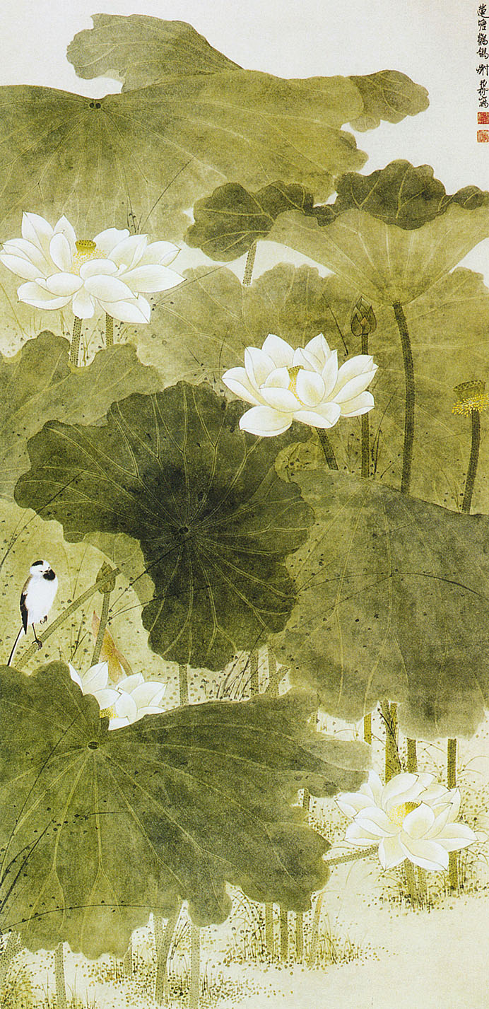 「转」这么美的荷花,千年荷韵