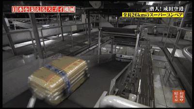 日本机场行李箱搬运,日本机场地勤搬行李