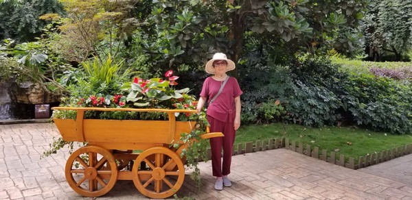 带着爸妈自由行攻略,带父母和孩子成都怎么玩