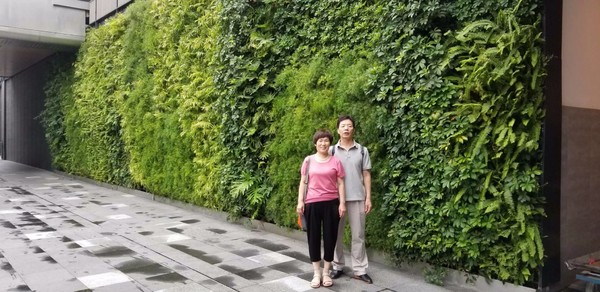 带着爸妈自由行攻略,带父母和孩子成都怎么玩