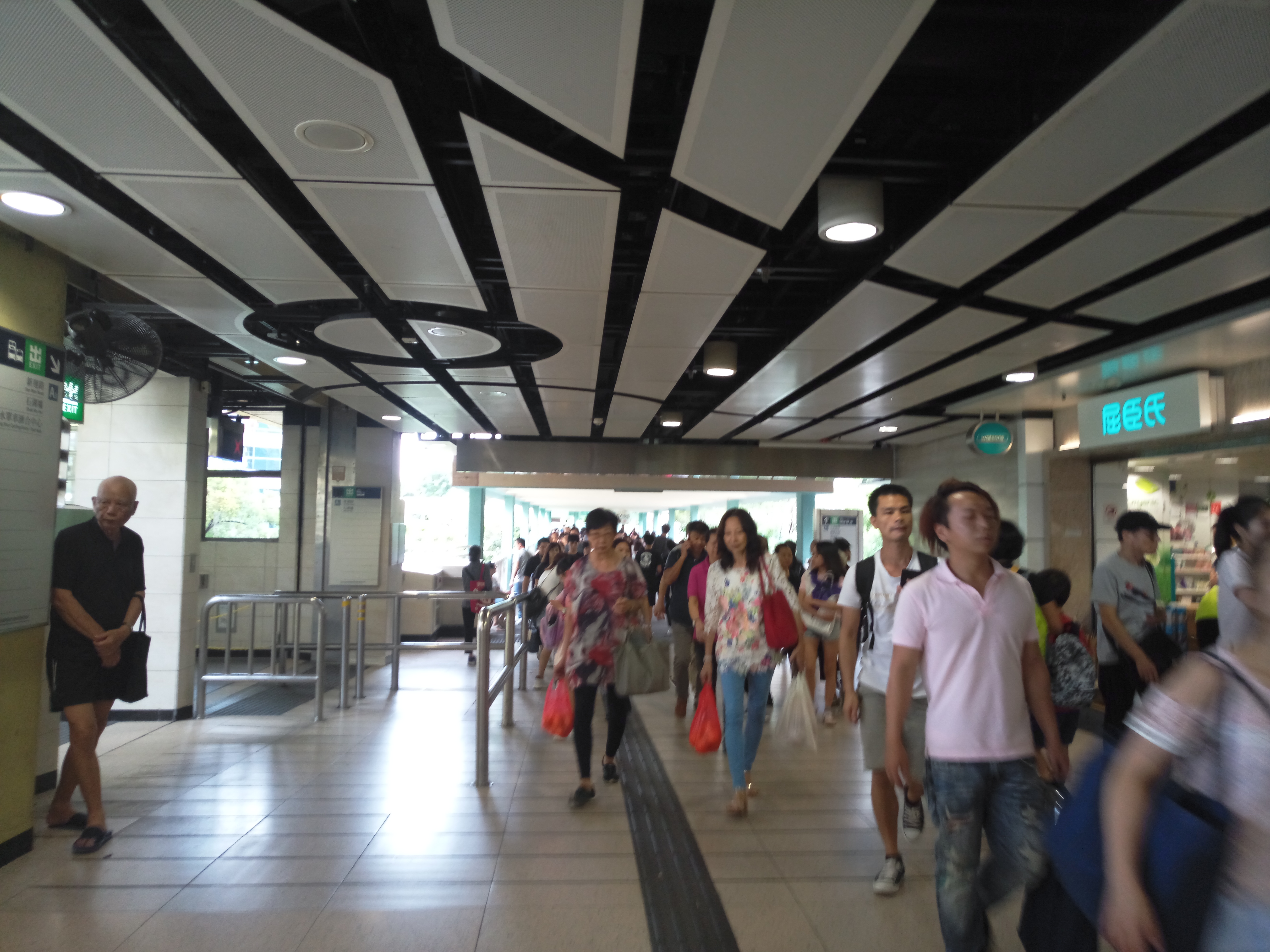 从香港机场到香港的游玩攻略,现在去香港机场怎么去