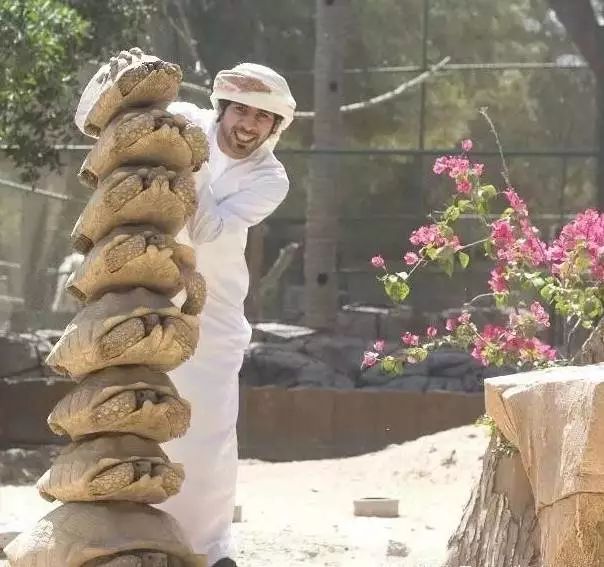 揭秘迪拜的真实生活,记录迪拜真实生活