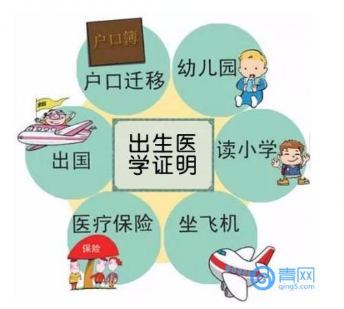 青岛市怀孕后要办理哪些证件,青岛婴儿出生后证件怎么办