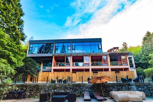 七夕撒狗粮,七夕撒狗粮全集