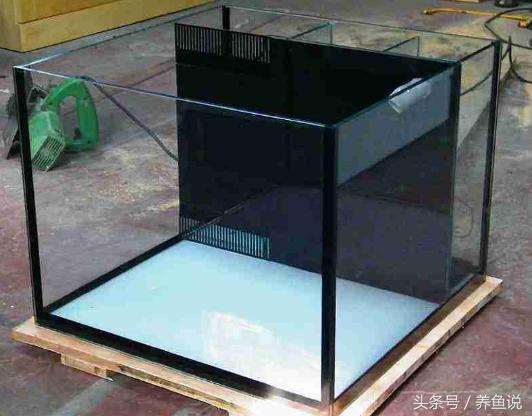 有过滤的鱼缸水为什么浑浊,过滤可以解决鱼缸水浑浊吗