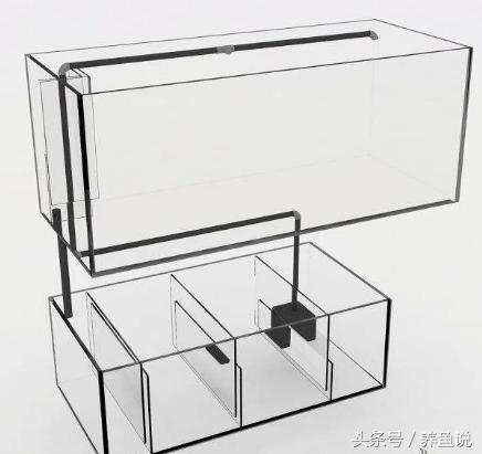 有过滤的鱼缸水为什么浑浊,过滤可以解决鱼缸水浑浊吗