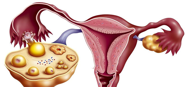 别嫌它丑，却是“天然荷尔蒙”，女人经常吃一点，保养子宫防衰老